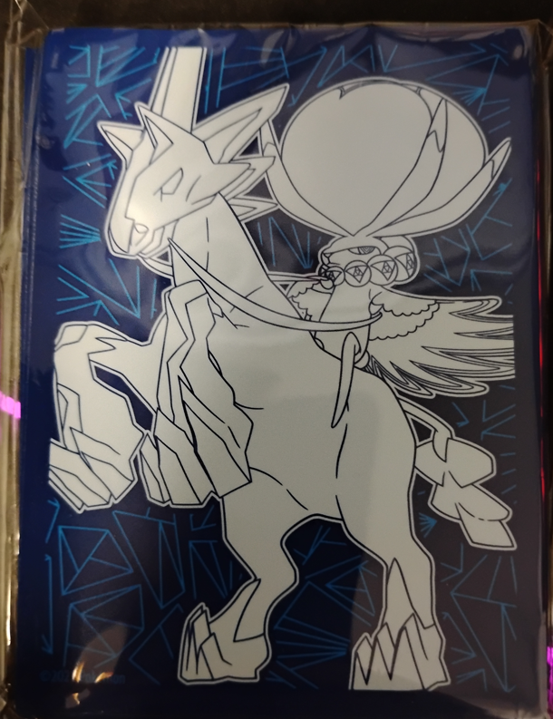 Chilling Reign - Ice Rider Card Sleeves - 65 Count